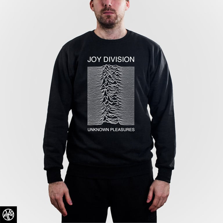Joy Division Unknown Pleasures duks