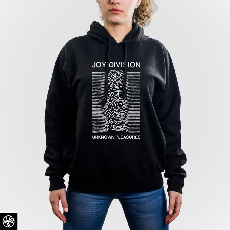 Joy Division Unknown Pleasures duks