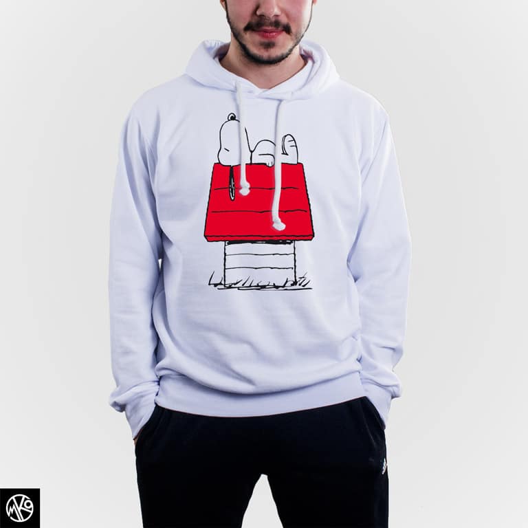 Snoopy on the roof duks