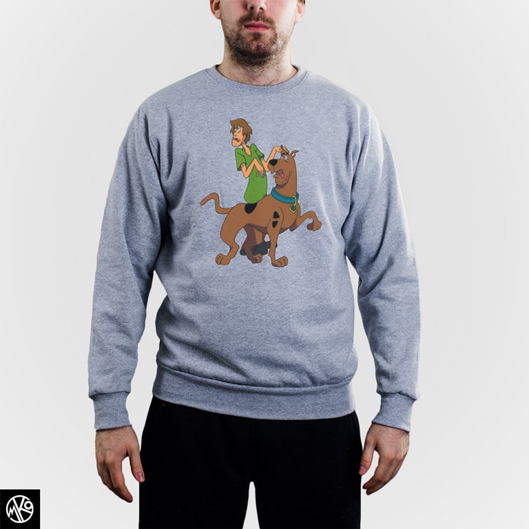Shaggy and Scooby duks