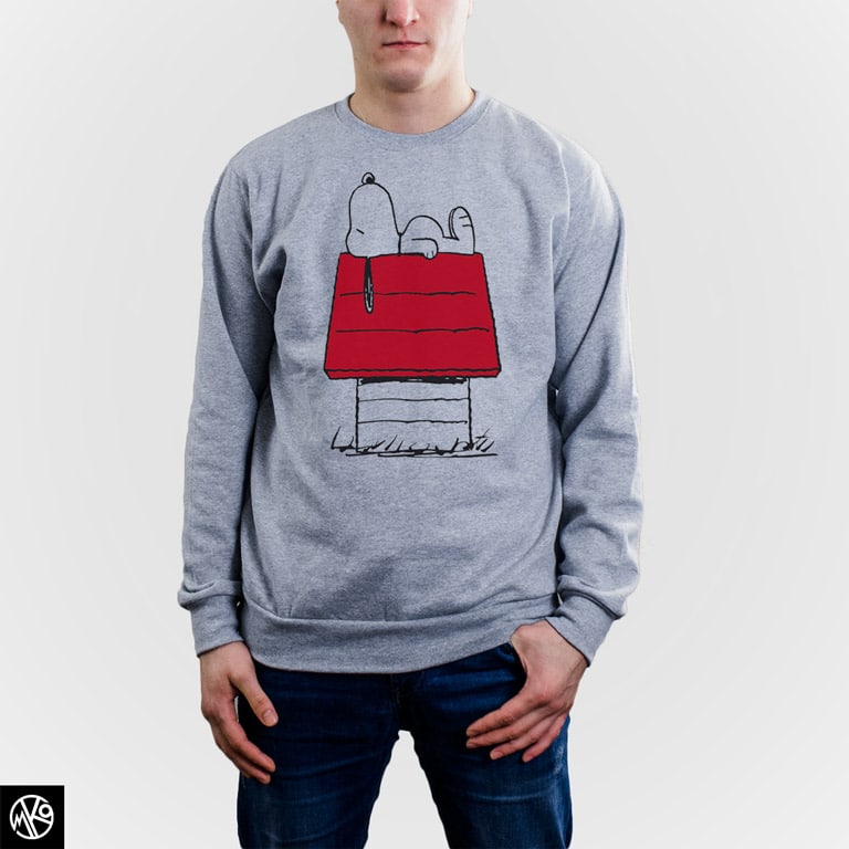 Snoopy on the roof duks