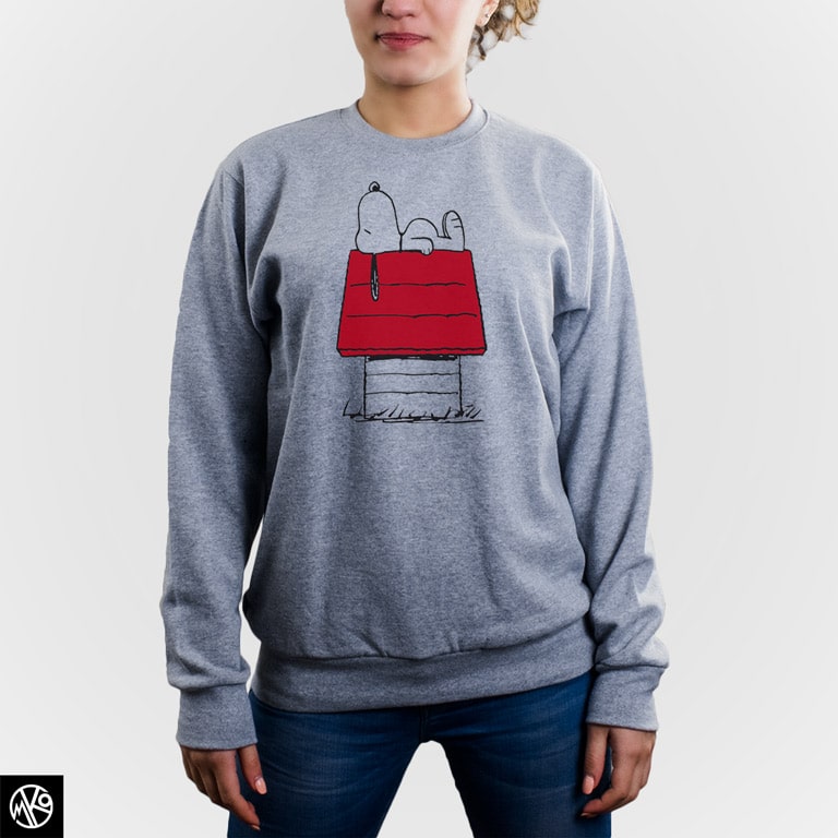 Snoopy on the roof duks