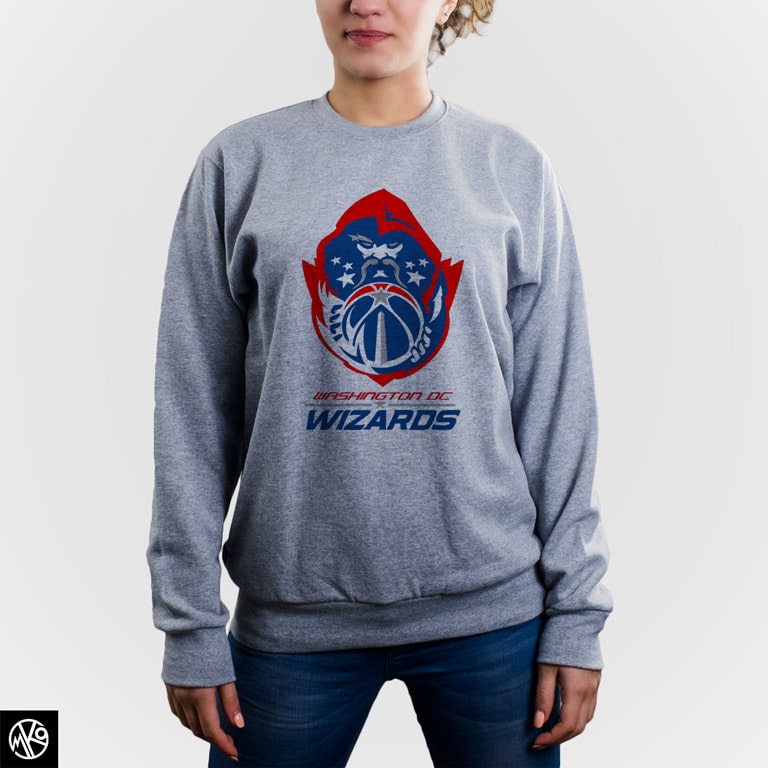 Washington DC Wizards duks